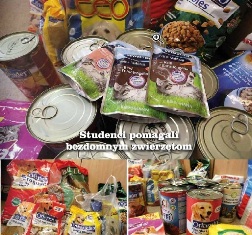 Studenci pomagali bezdomnym zwierzętom Studenci pomagali bezdomnym zwierzętom